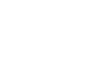 Brookfarm logo light