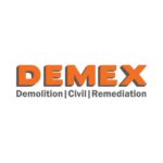colour DEMEX logo